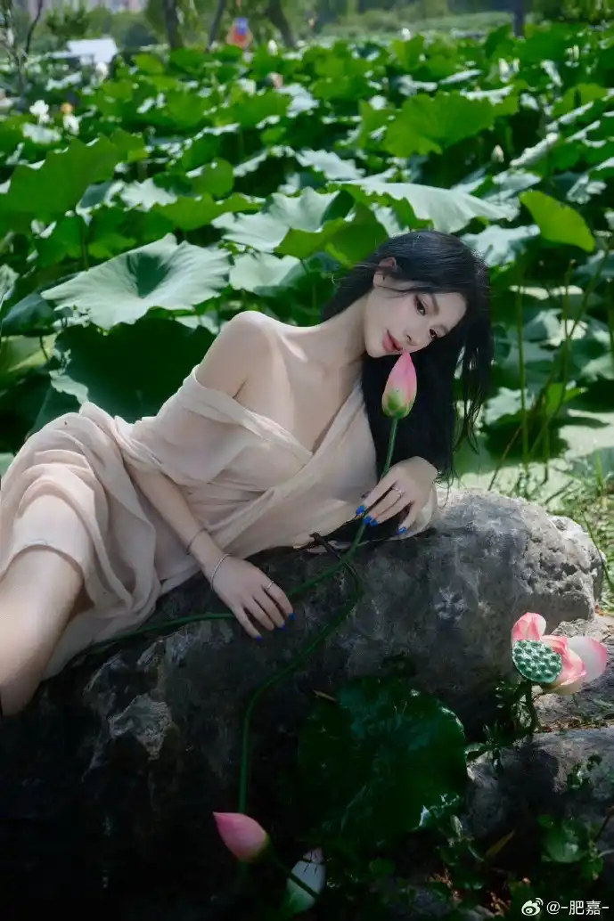 公众号数据分析图表